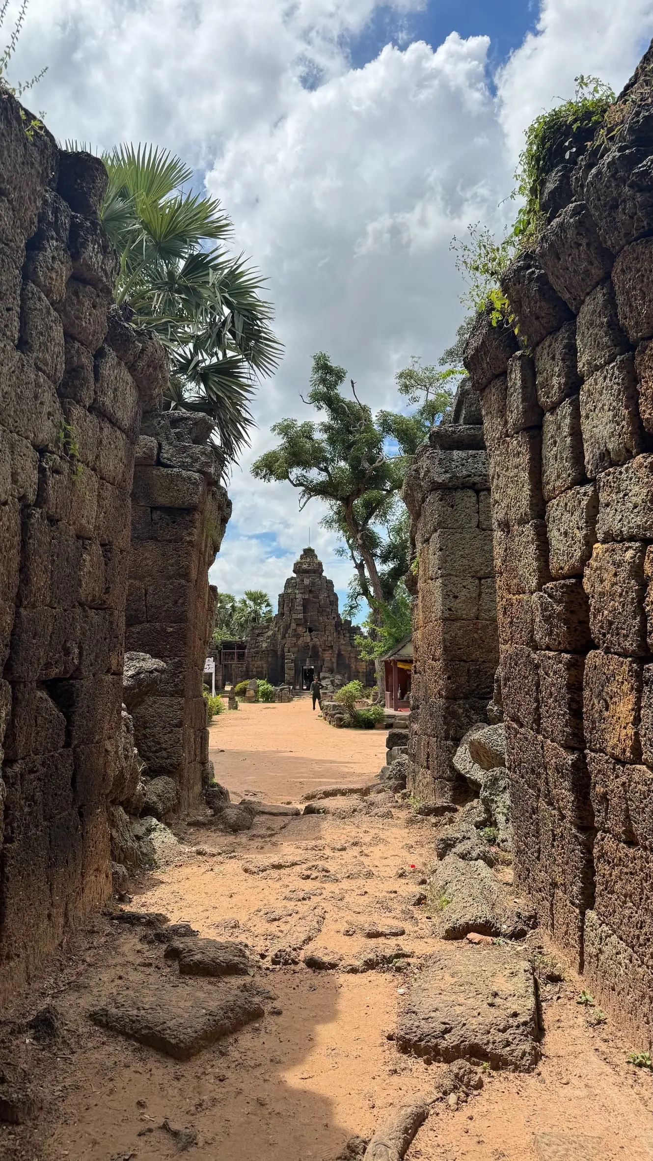 Phnom Tamao & Phnom Chisor: Wildlife Rescue and Ancient History Day Trip